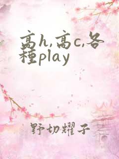 高h,高c,各种play