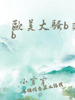 欧美大骚b爽bb
