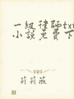 一级律师txt小说免费下载