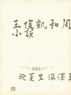 王俊凯和周梦莹小说