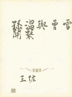 孙温与曹雪芹的关系