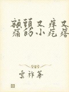 额头又痒又红又痛的小疙瘩
