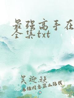最强高手在都市全集txt