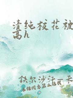 清纯校花被调教高h