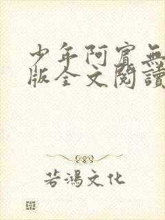 少年阿宾无删减版全文阅读
