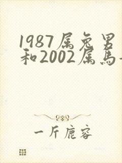 1987属兔男和2002属马女
