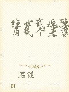 绝世武魂陈枫主角几个老婆