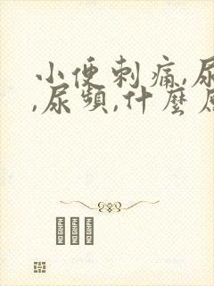 小便刺痛,尿急,尿频,什么原因引起