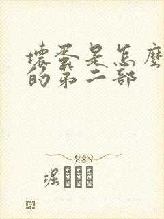 坏蛋是怎么炼成的第二部