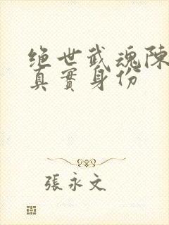 绝世武魂陈枫的真实身份