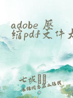 adobe 压缩pdf文件大小