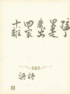 十四岁男孩叛逆离家出走了怎么办