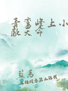 青鸾峰上小说无敌天命
