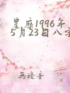 农历1996年5月23日八字算命