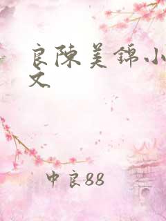 良陈美锦小说全文