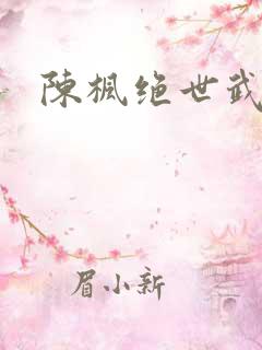 陈枫绝世武魂