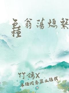 色翁荡熄系列借种