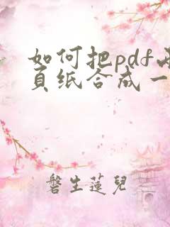 如何把pdf两页纸合成一页