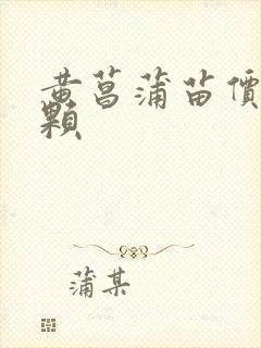 黄菖蒲苗价格一颗