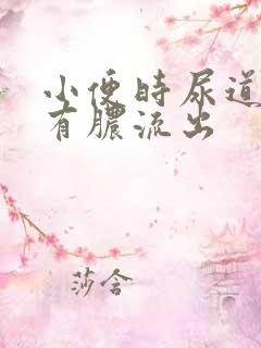 小便时尿道刺痛有脓流出