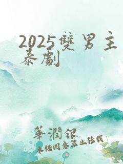 2025双男主泰剧