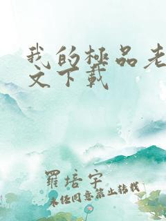 我的极品老婆全文下载