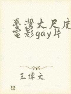 台湾大尺度同志电影gay片