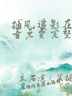 捕风追影在线观看免费完整版高清