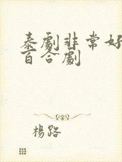 泰剧非常好看的百合剧