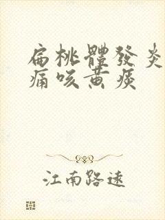 扁桃体发炎喉咙痛咳黄痰