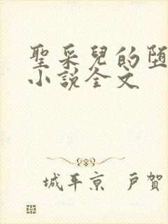 圣采儿的堕落 小说全文