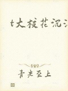 t大校花沉浮录