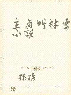 主角叫林云全部小说