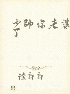 少帅你老婆又跑了