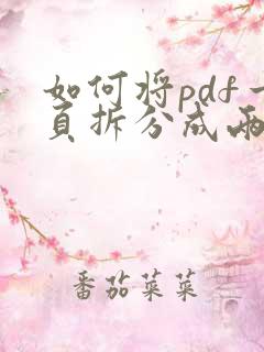 如何将pdf一页拆分成两页