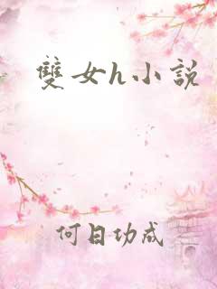 双女h小说