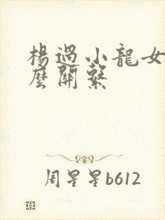杨过小龙女是什么关系