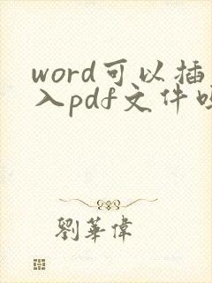 word可以插入pdf文件吗
