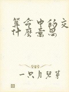 算命中的交运是什么意思