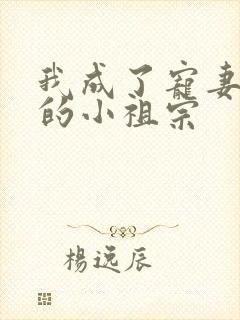 我成了宠妻狂魔的小祖宗