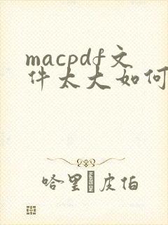 macpdf文件太大如何变小