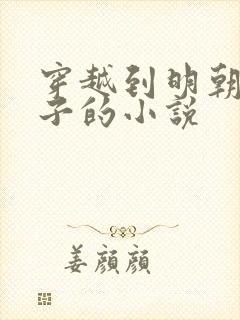 穿越到明朝当太子的小说