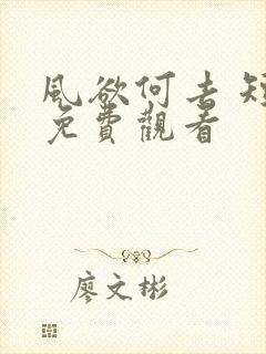 风欲何去 短剧免费观看