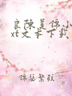 良陈美锦小说txt文本下载