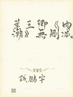 叶玉卿《肉欲狂潮》无删减版