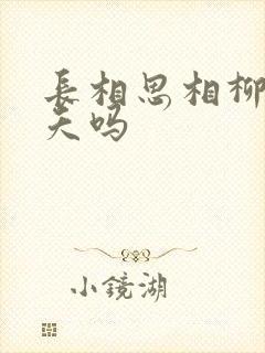 长相思相柳爱小夭吗