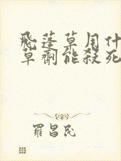 飞蓬草用什么除草剂能杀死