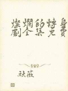 灿烂的转身电视剧全集免费观看高清