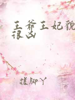 王爷王妃貌美又很凶
