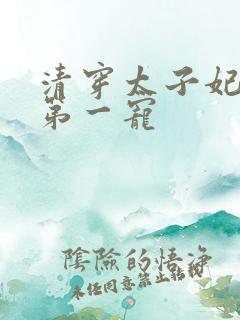 清穿太子妃天下第一宠